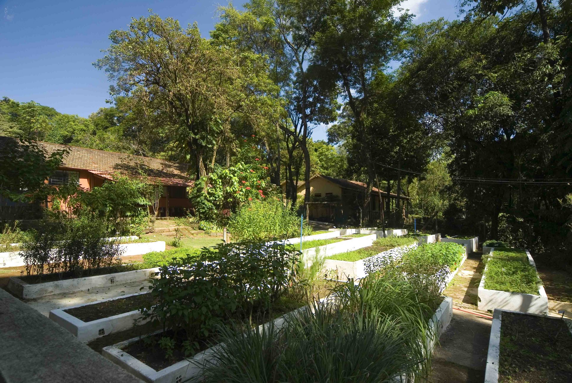 Museu de História Natural e Jardim Botânico da UFMG