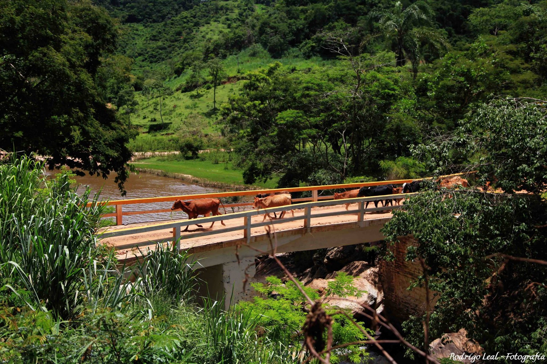 Cachoeira Geraldo Miranda 