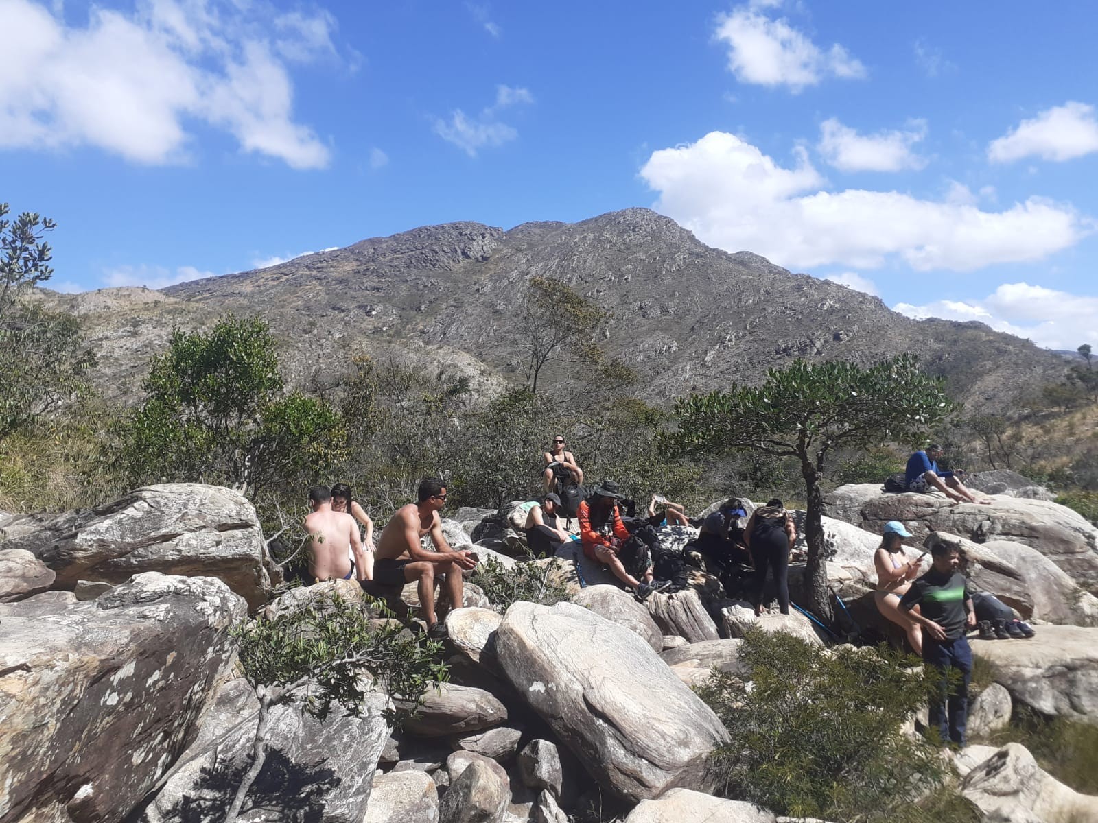 Leal Trip