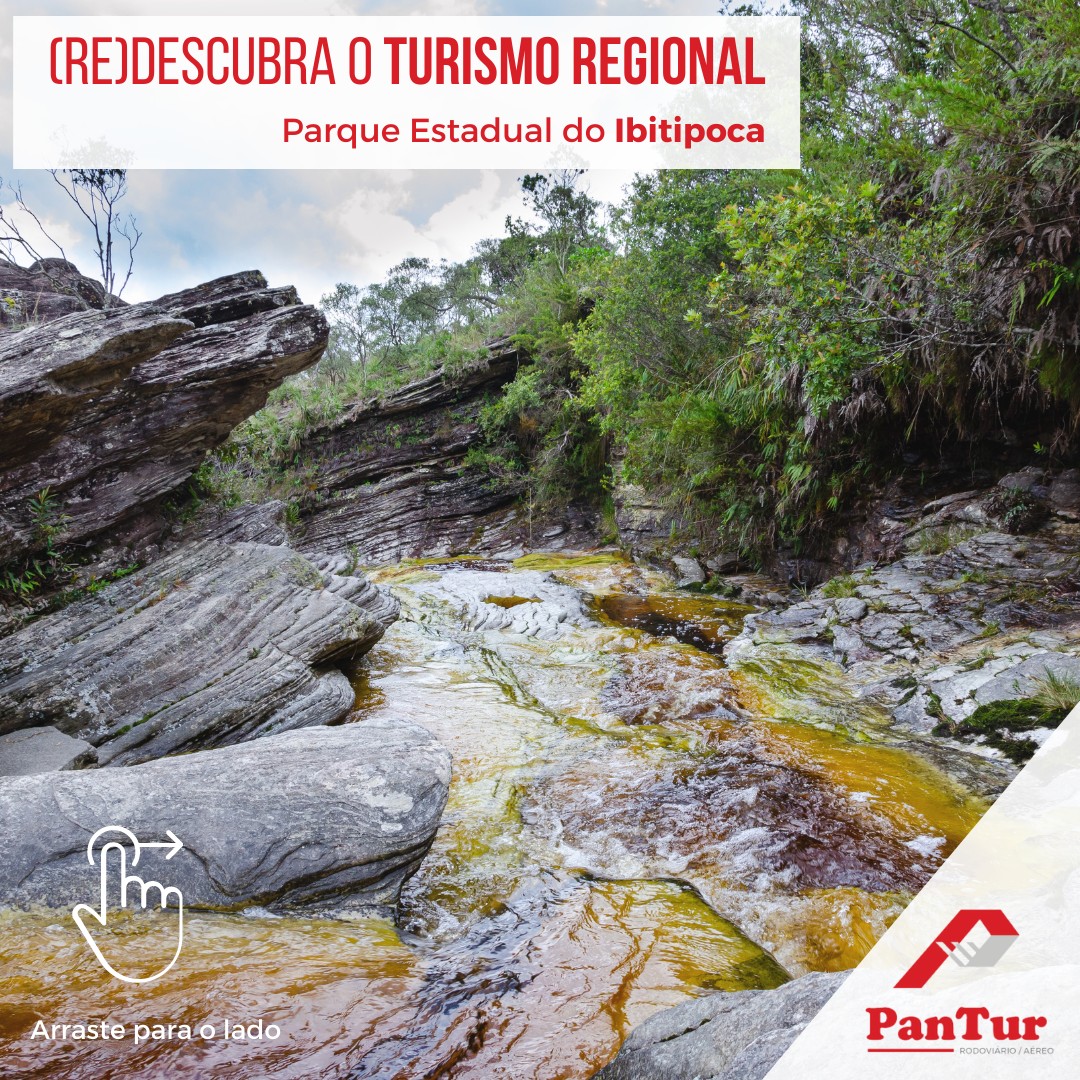 Pantur Turismo
