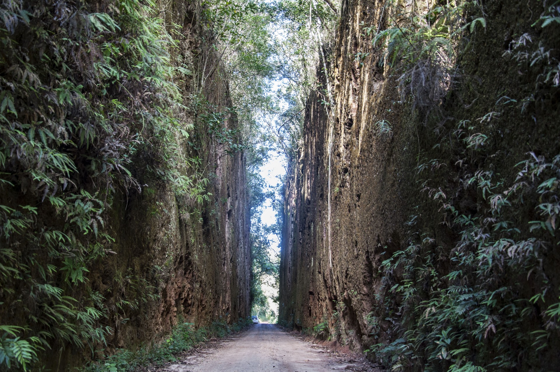 Vimana Expedições