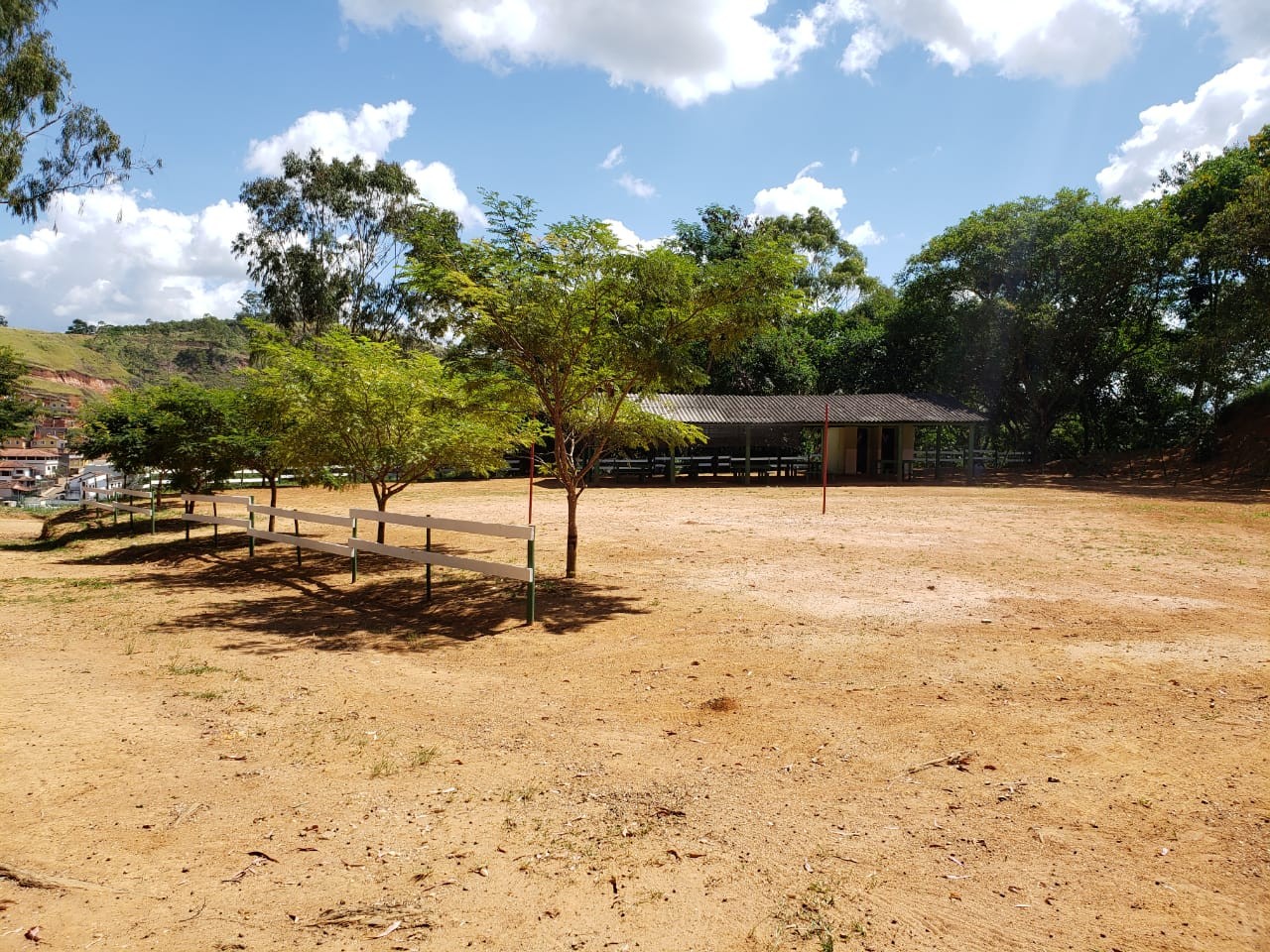 Horto Florestal
