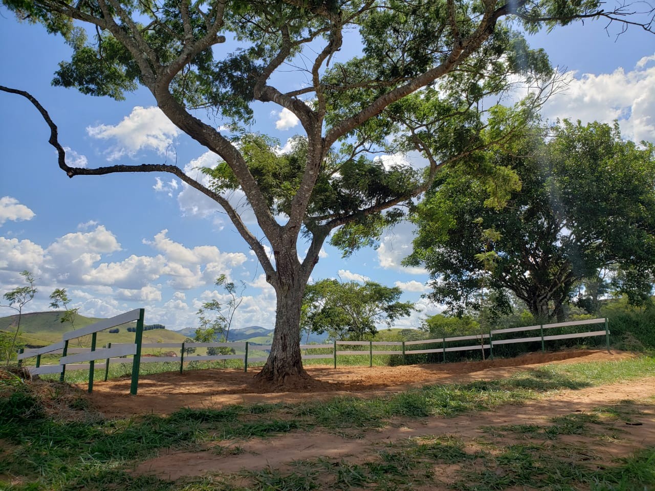 Horto Florestal