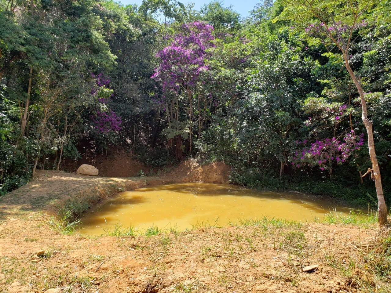 Horto Florestal