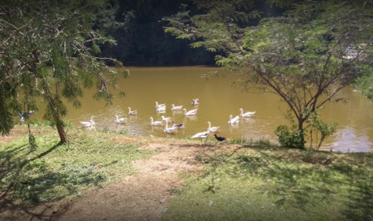 Parque Ecológico Cordovil Fonseca Lago do Telmo