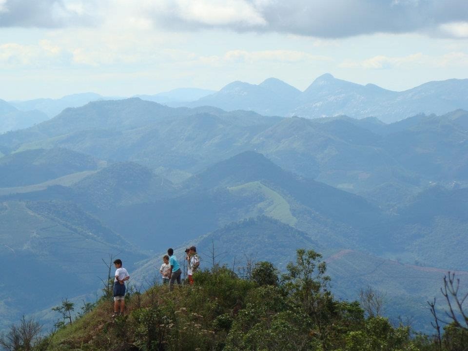 Parque do Sagui