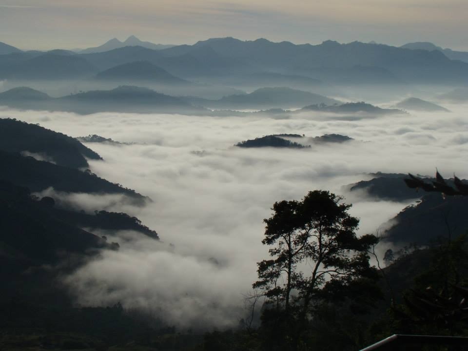 Parque do Sagui