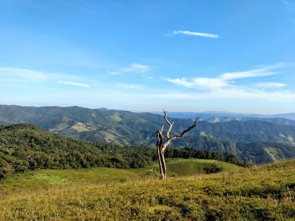 Pedra do Sertão