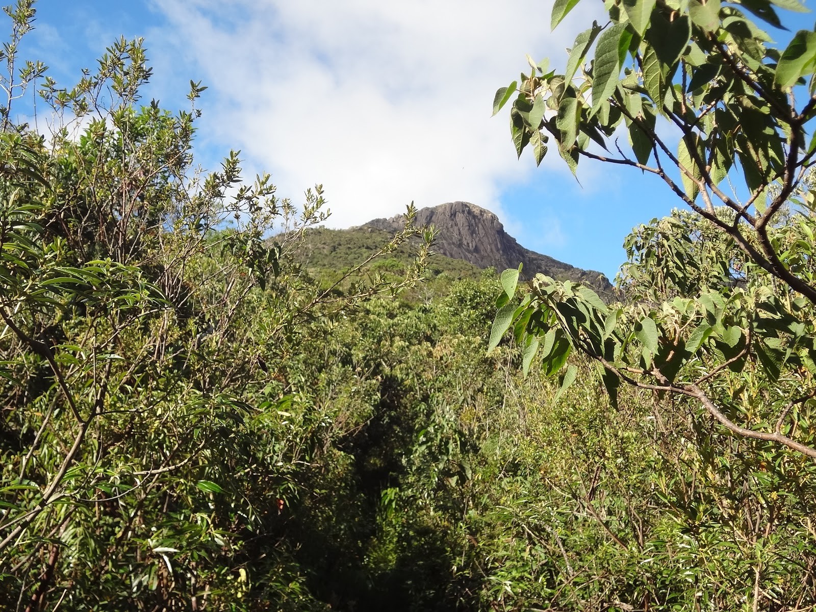 Pico do Marinzinho 