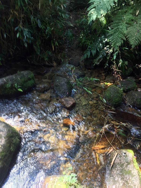 Pico do Itaguaré