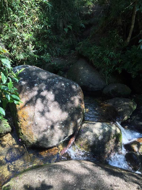 Pico do Itaguaré