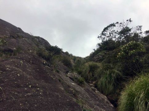 Pico do Itaguaré