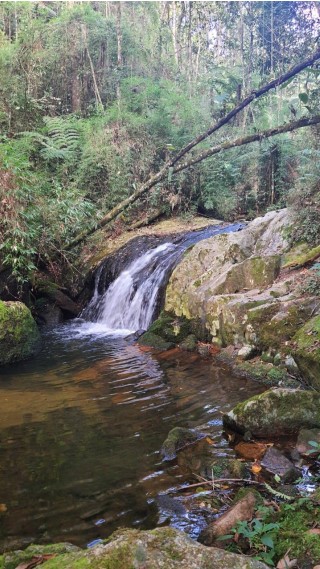 Cachoeira Serra dos Ramos