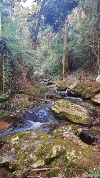 Cachoeira Serra dos Ramos