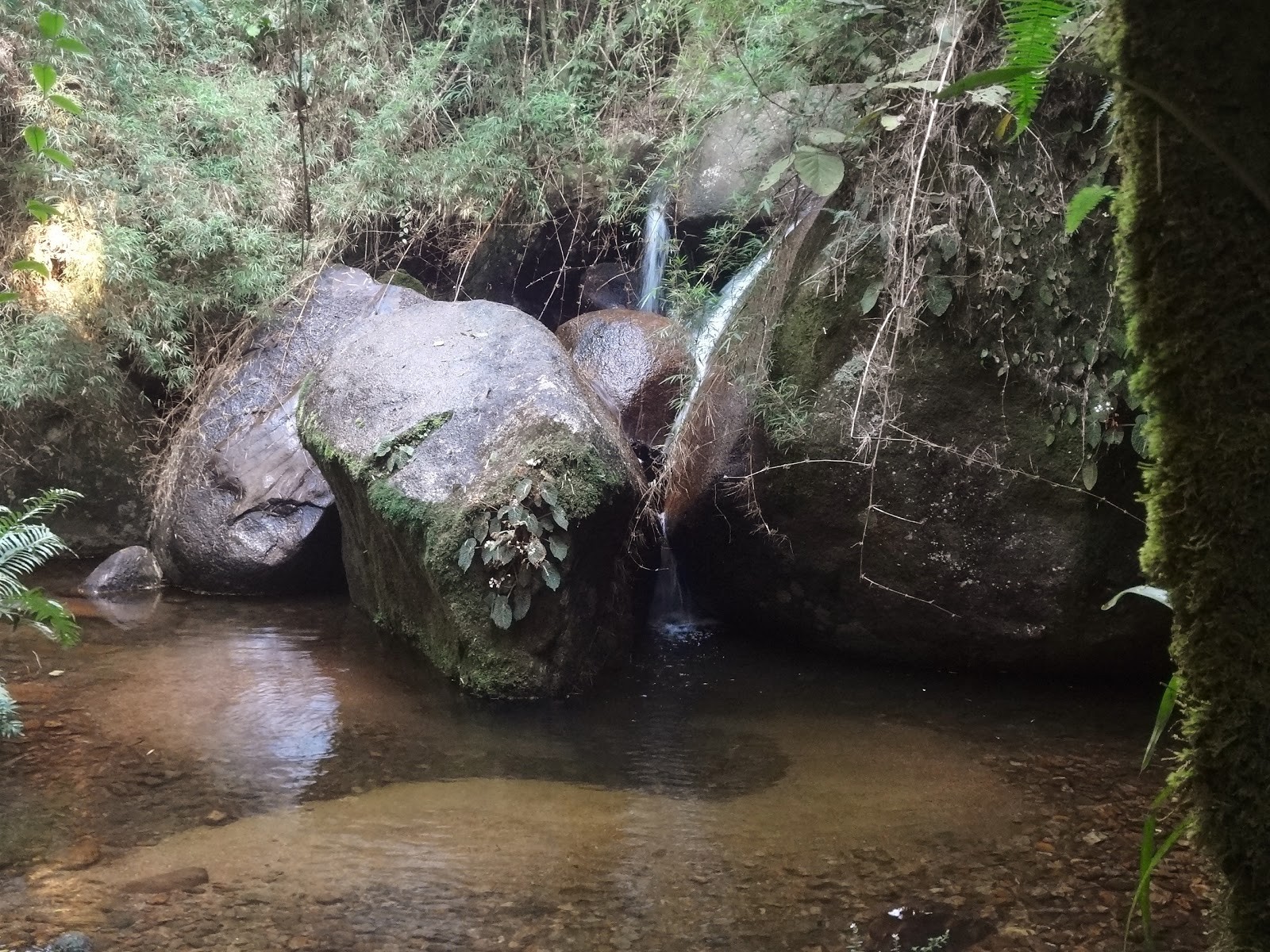 Cachoeira Serra dos Ramos