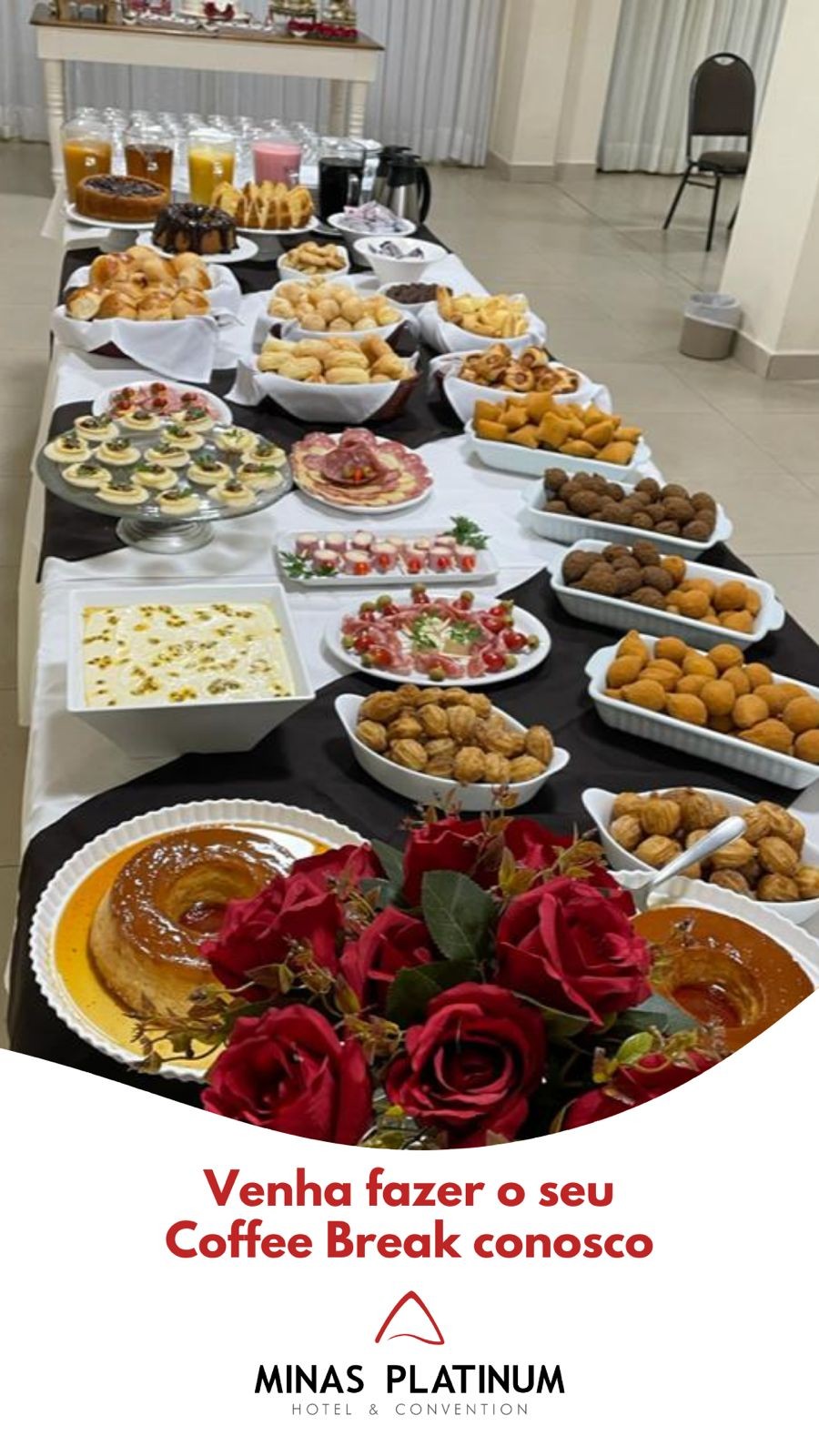 Minas Platinum Hotel & Convention