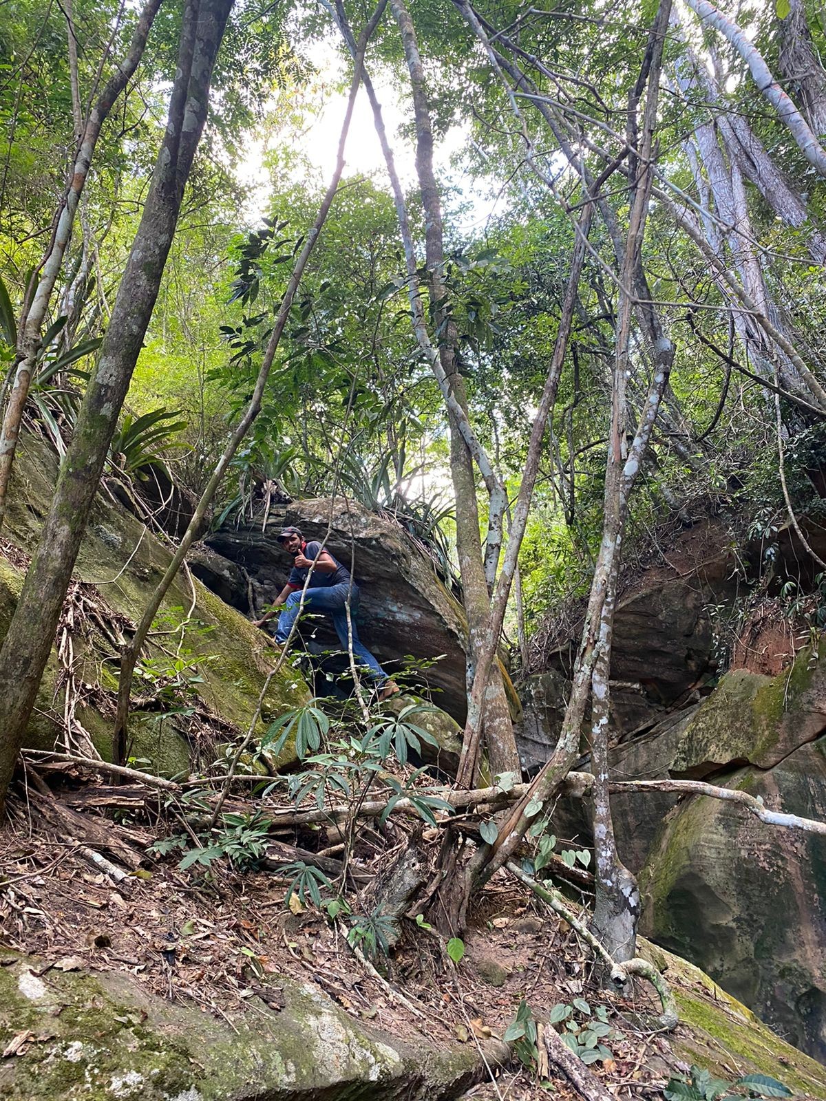 Cachoeira da Pirapitinga.