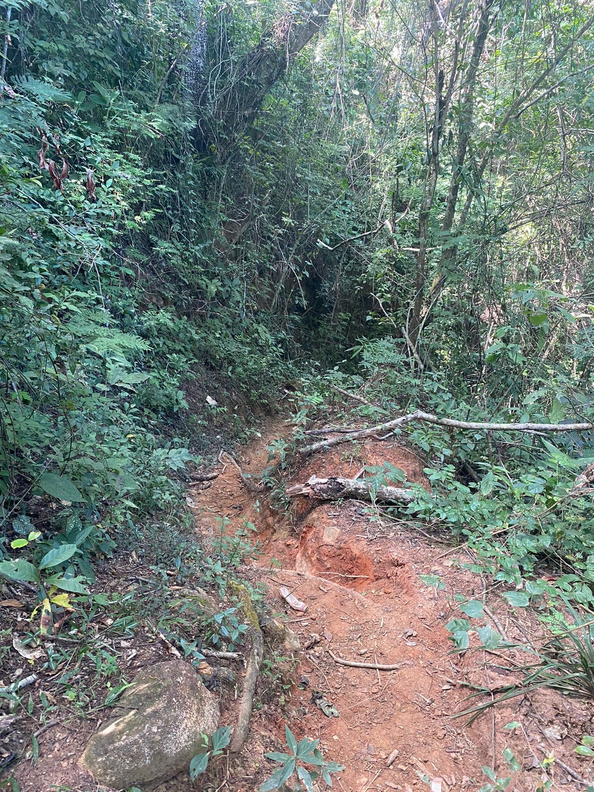 Cachoeira da Pirapitinga.