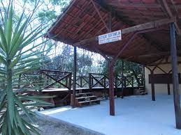 Horto Florestal