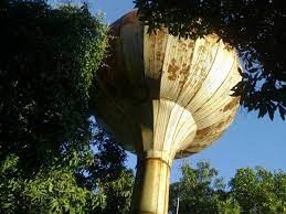 Bioquê do Prefeito 