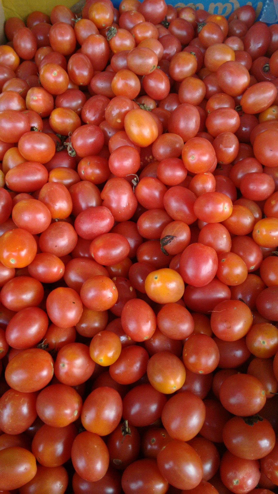 Feira Orgânica de Pouso Alegre
