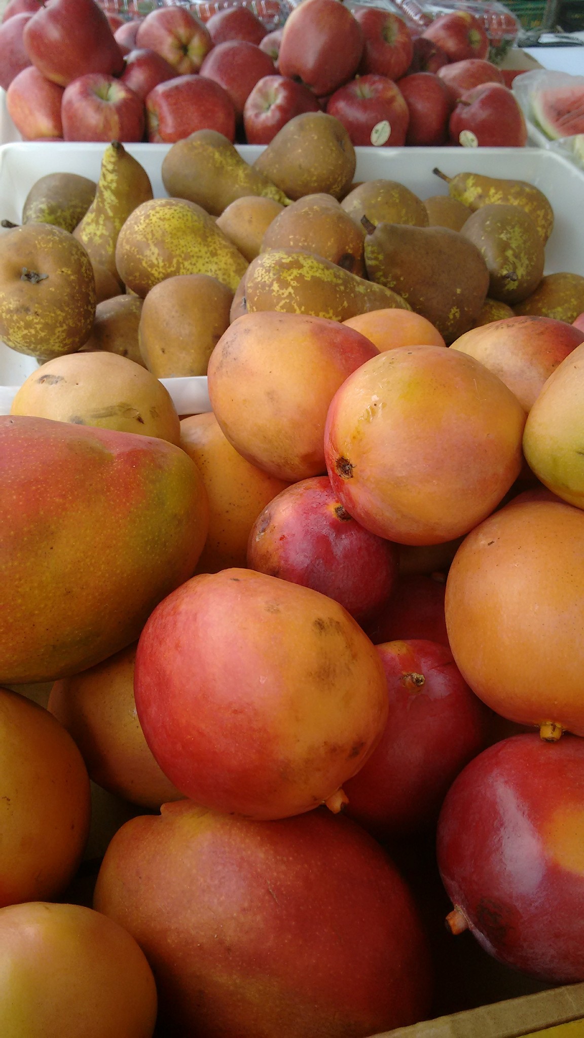Feira Orgânica de Pouso Alegre