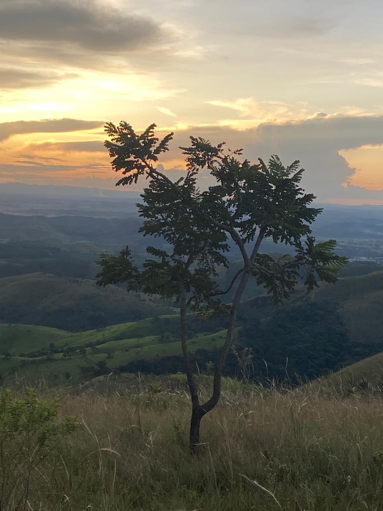 Mirante da Onça