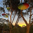 Sabor da Terra