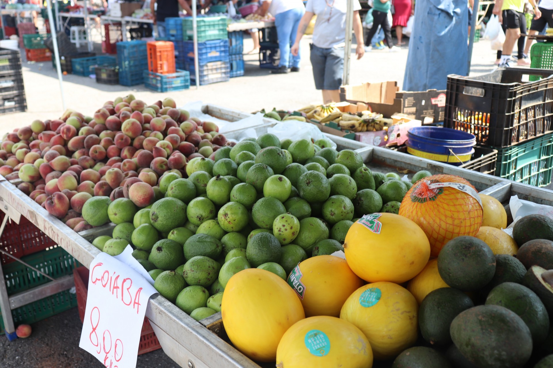 Feira Livre de Pouso Alegre
