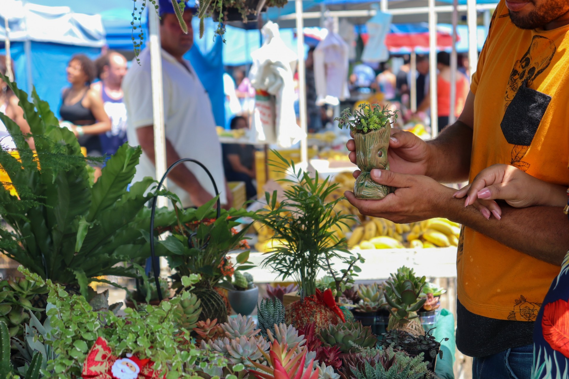 Feira Livre de Pouso Alegre