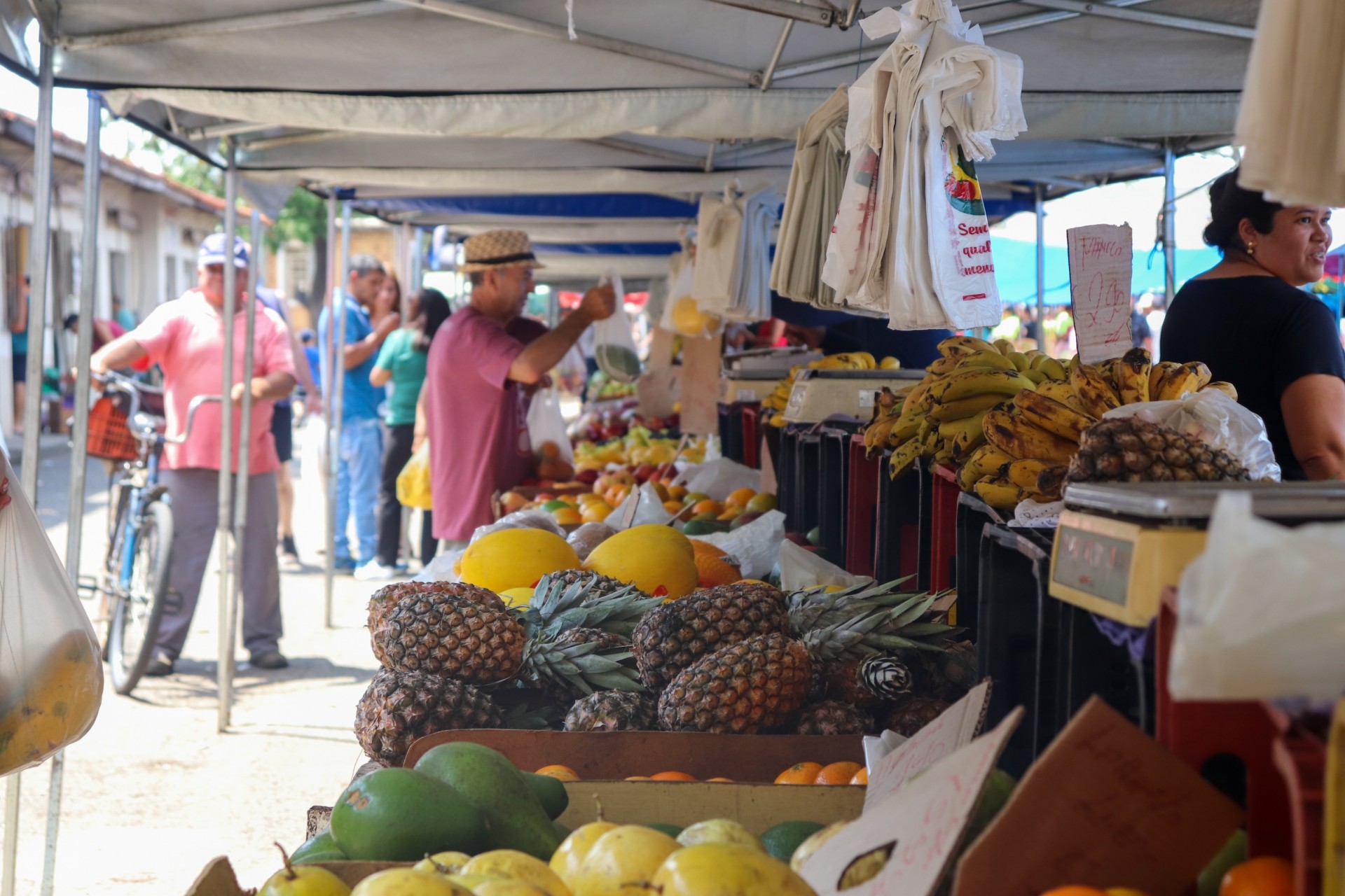 Feira Livre de Pouso Alegre