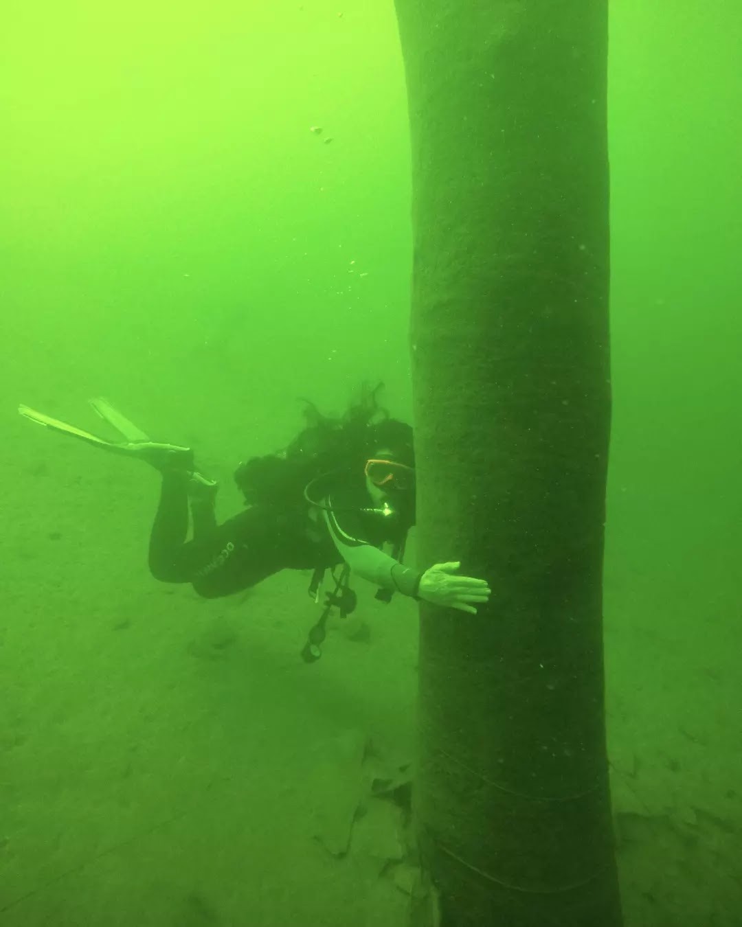 Acquaminas Mergulho