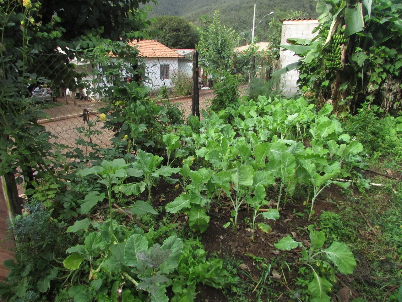 Comida Caseira da Dona Arlinda