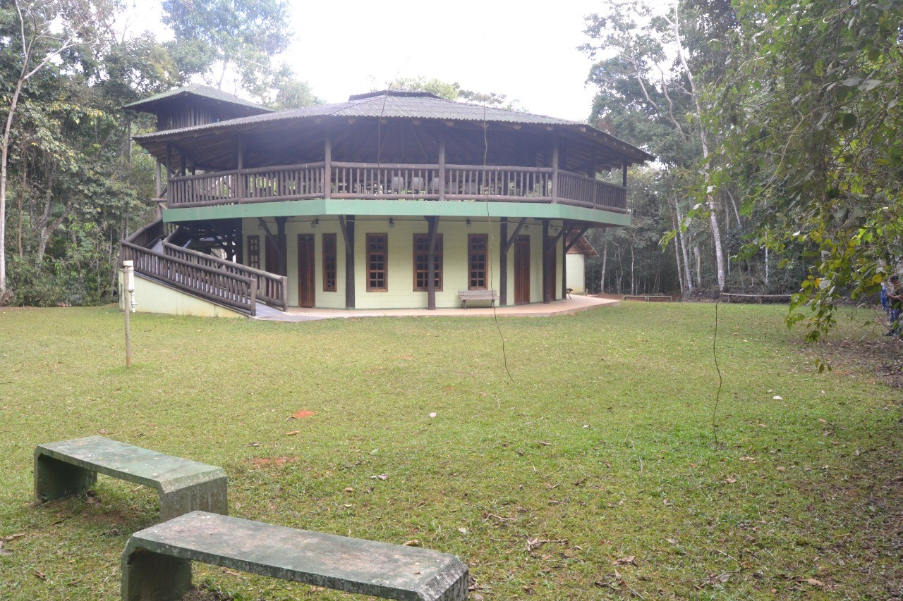 Mata do Paraíso