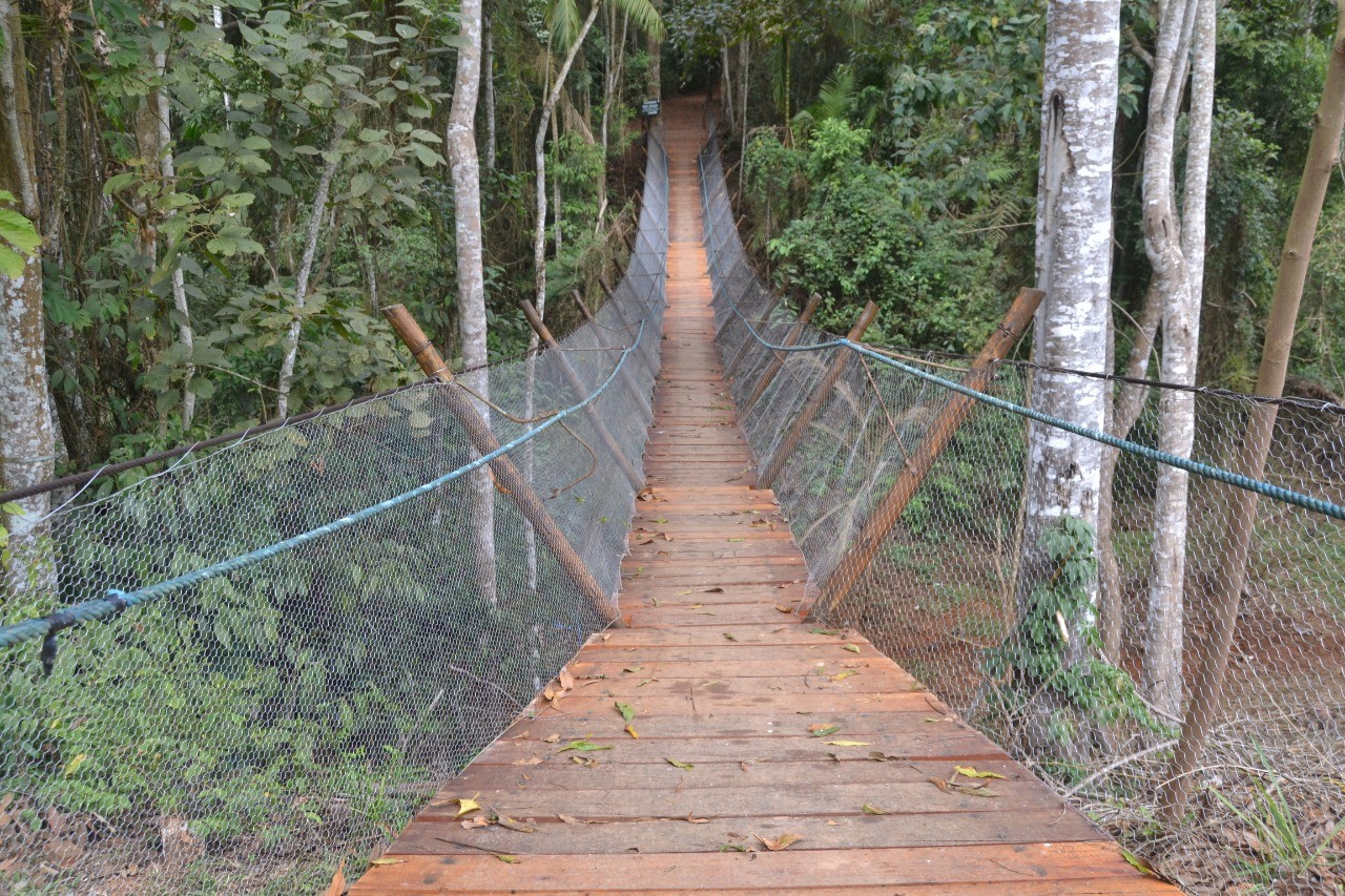 Mata do Paraíso
