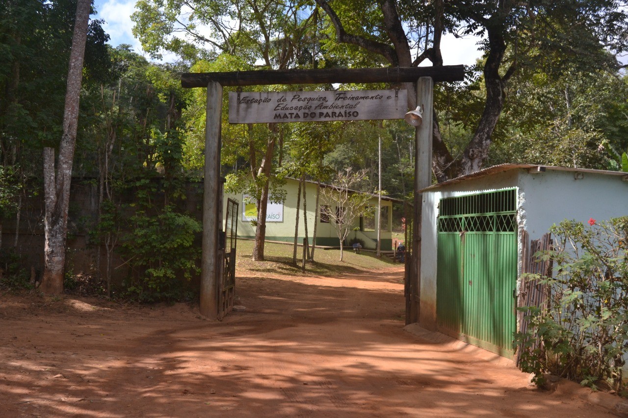 Mata do Paraíso