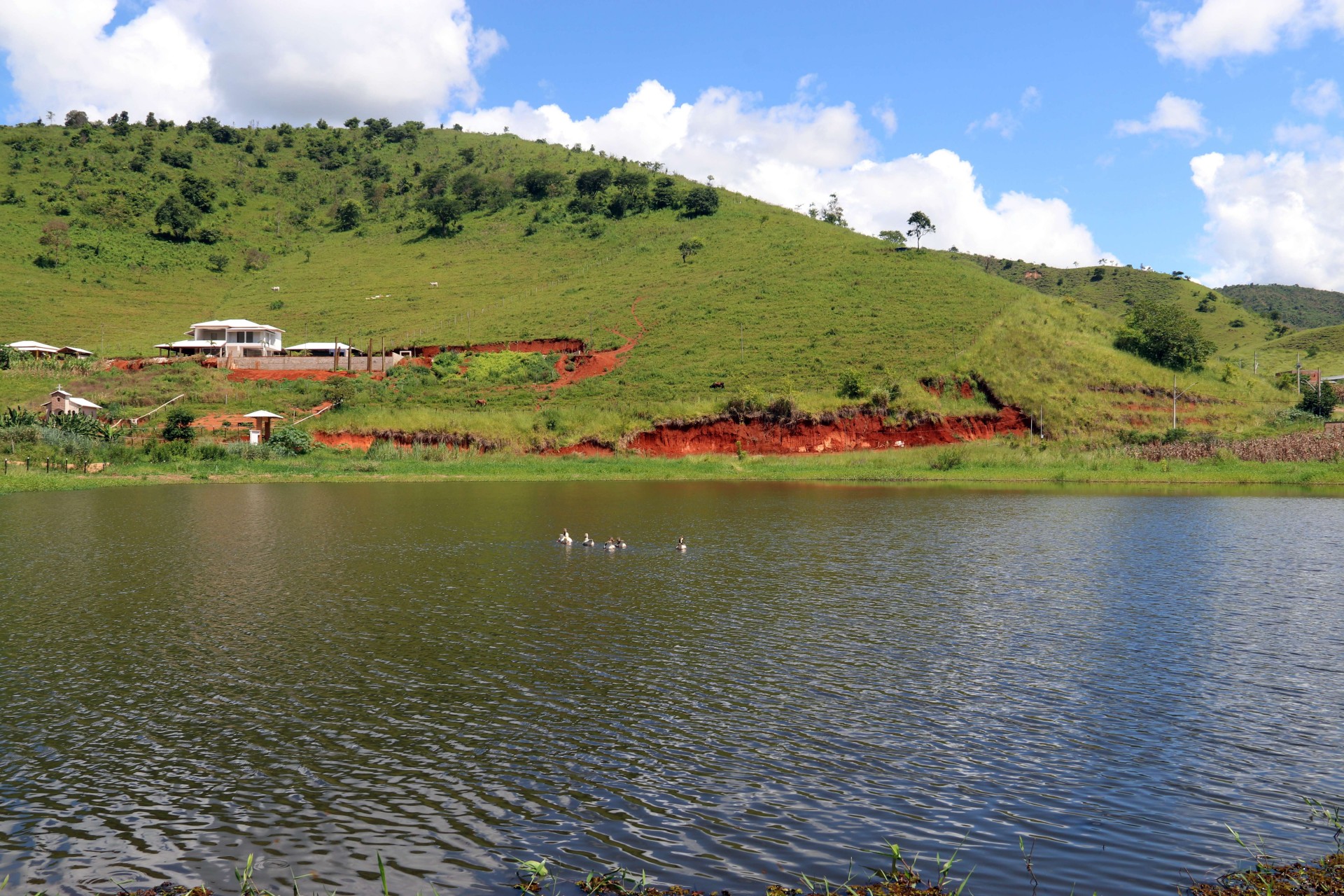 Lagoa Taquaral 