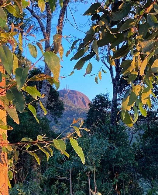 Pico de São Domingos