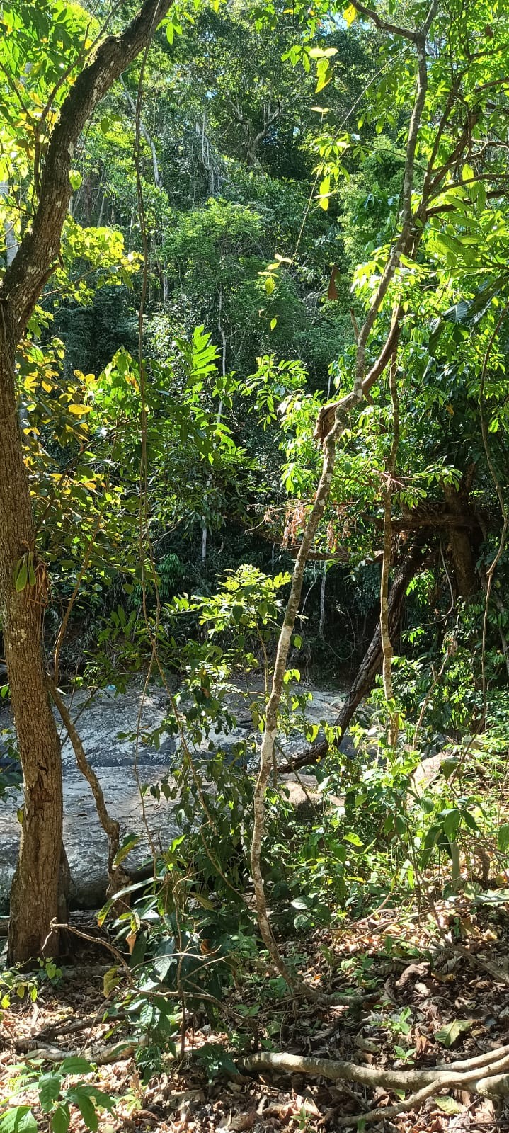 Açude da Pedra