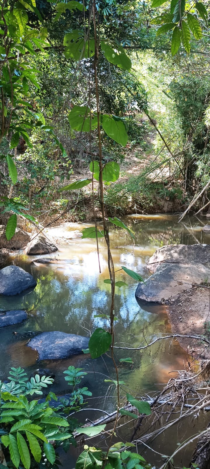 Açude da Pedra