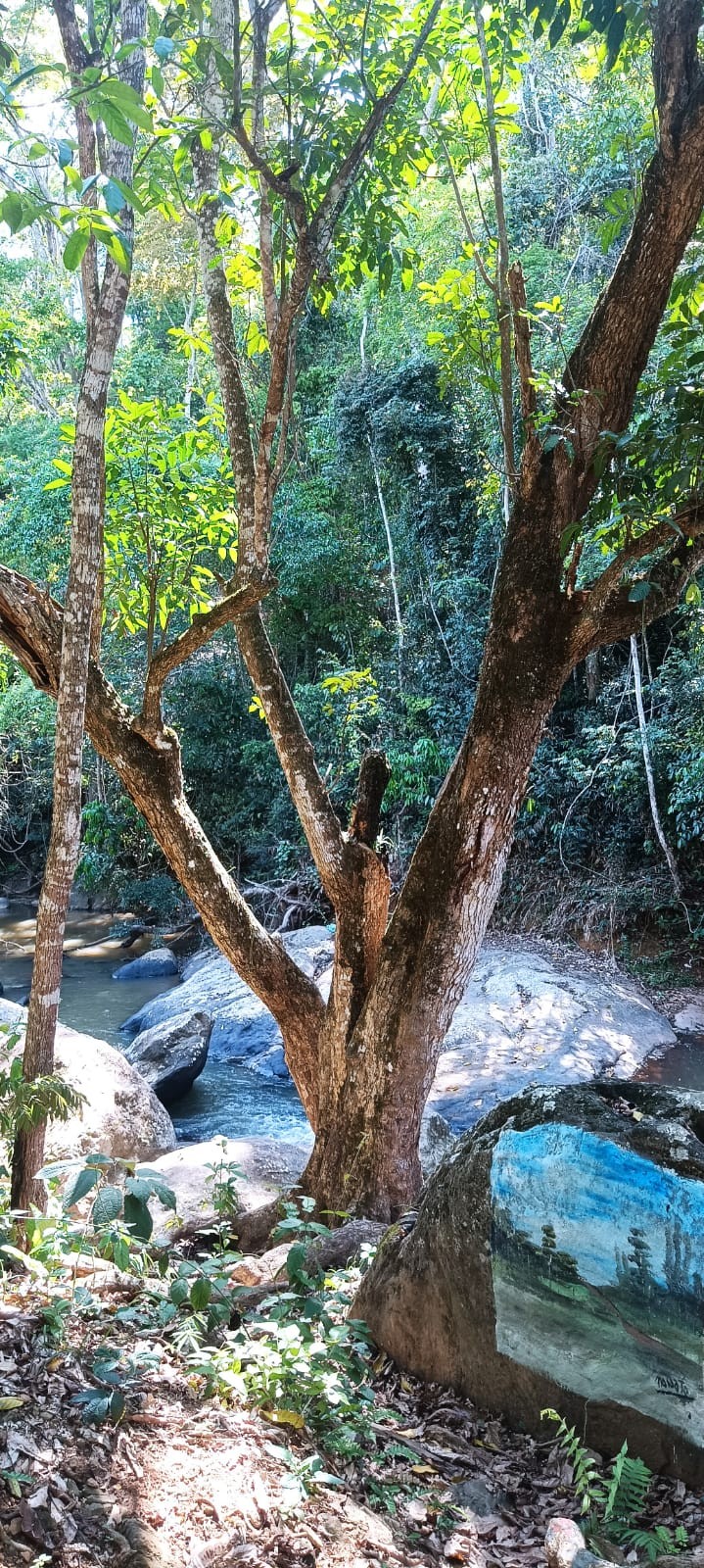 Açude da Pedra