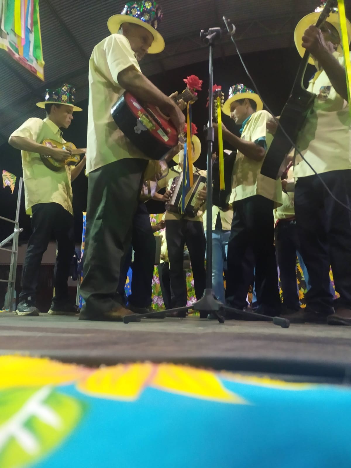 Folia de Reis