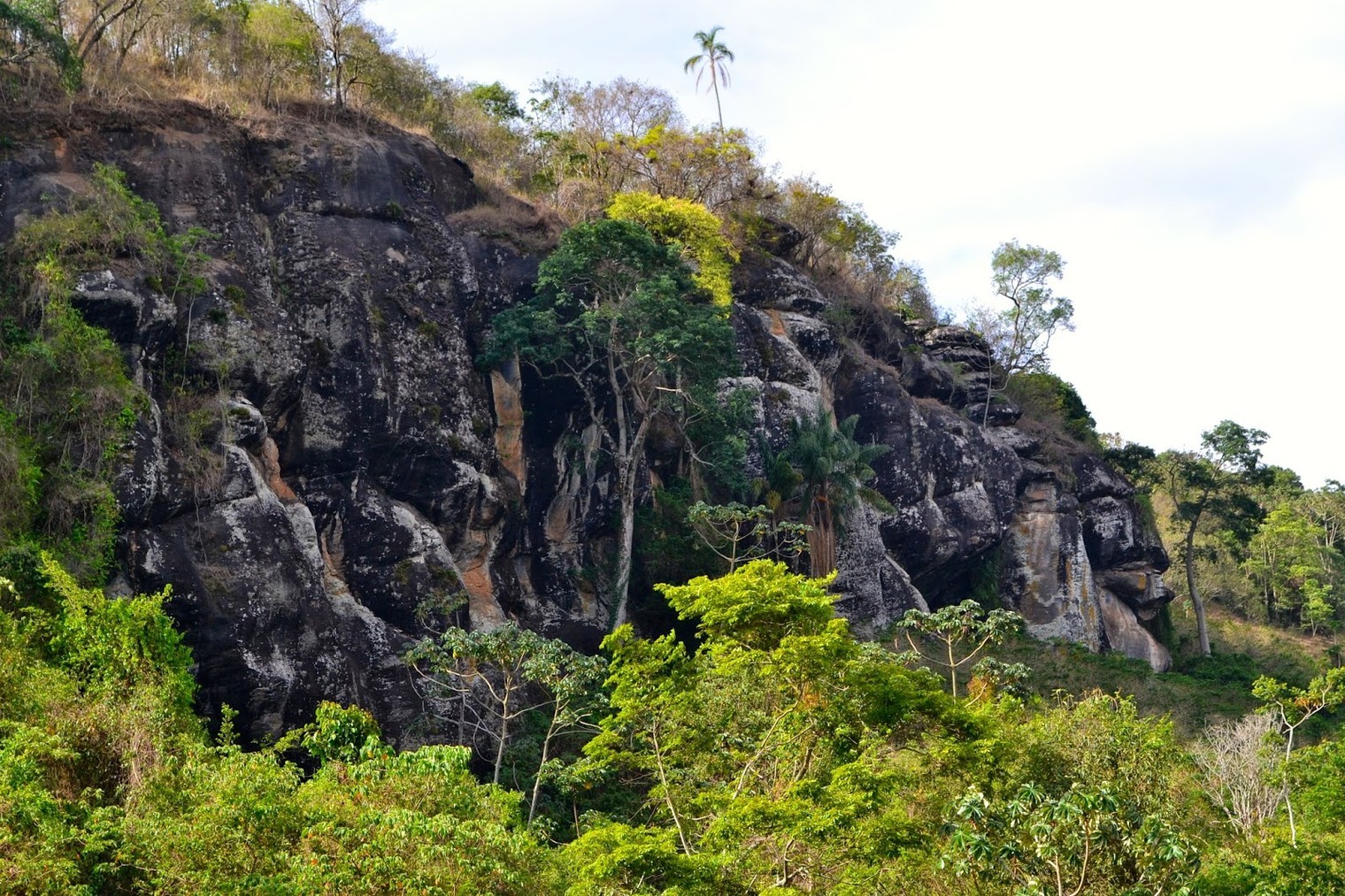 Fazenda Pedra Preta