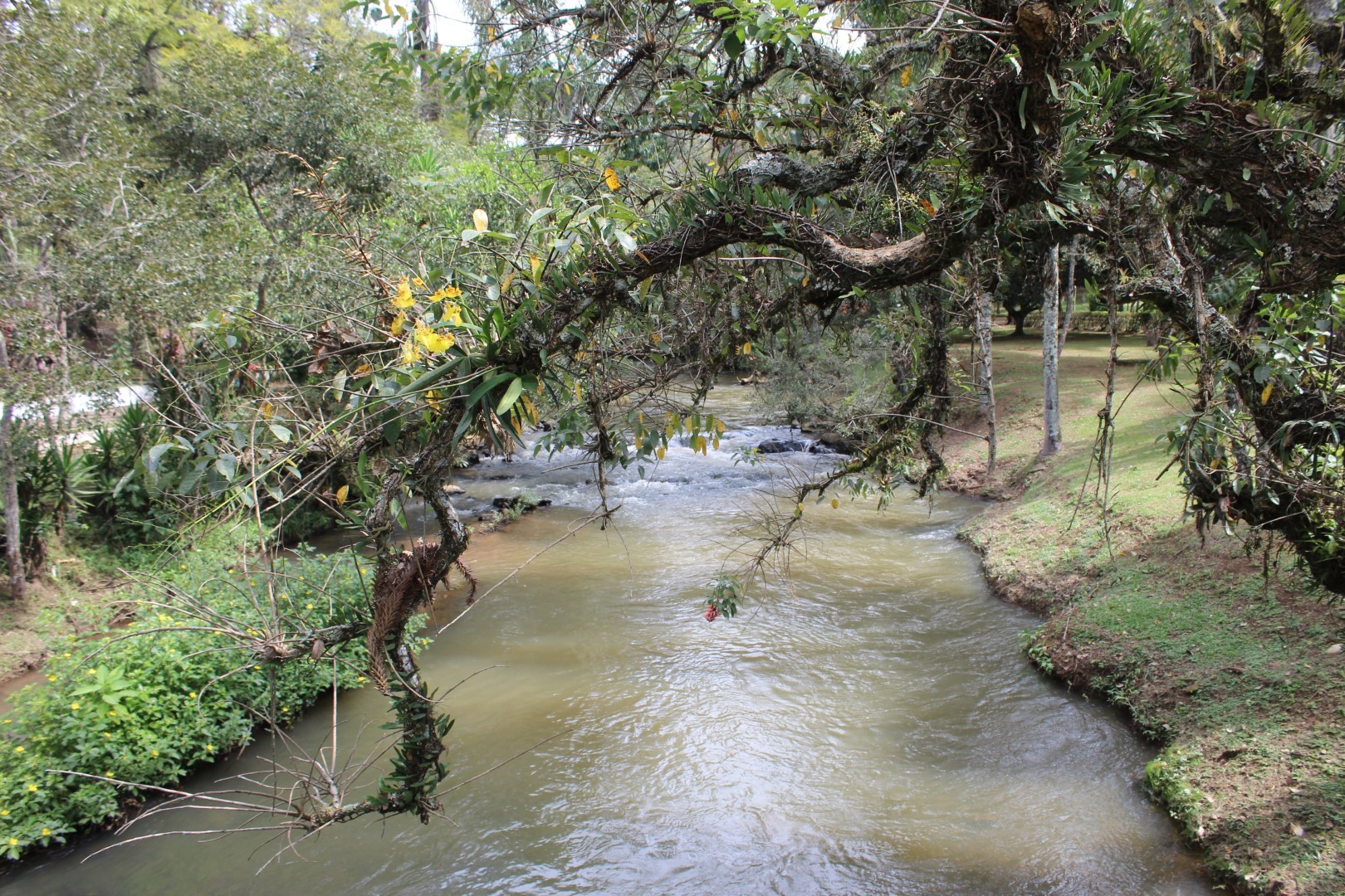 Balneário