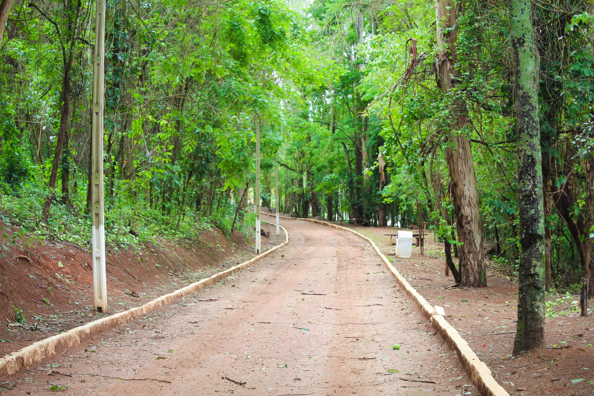 Horto Florestal da Bomba