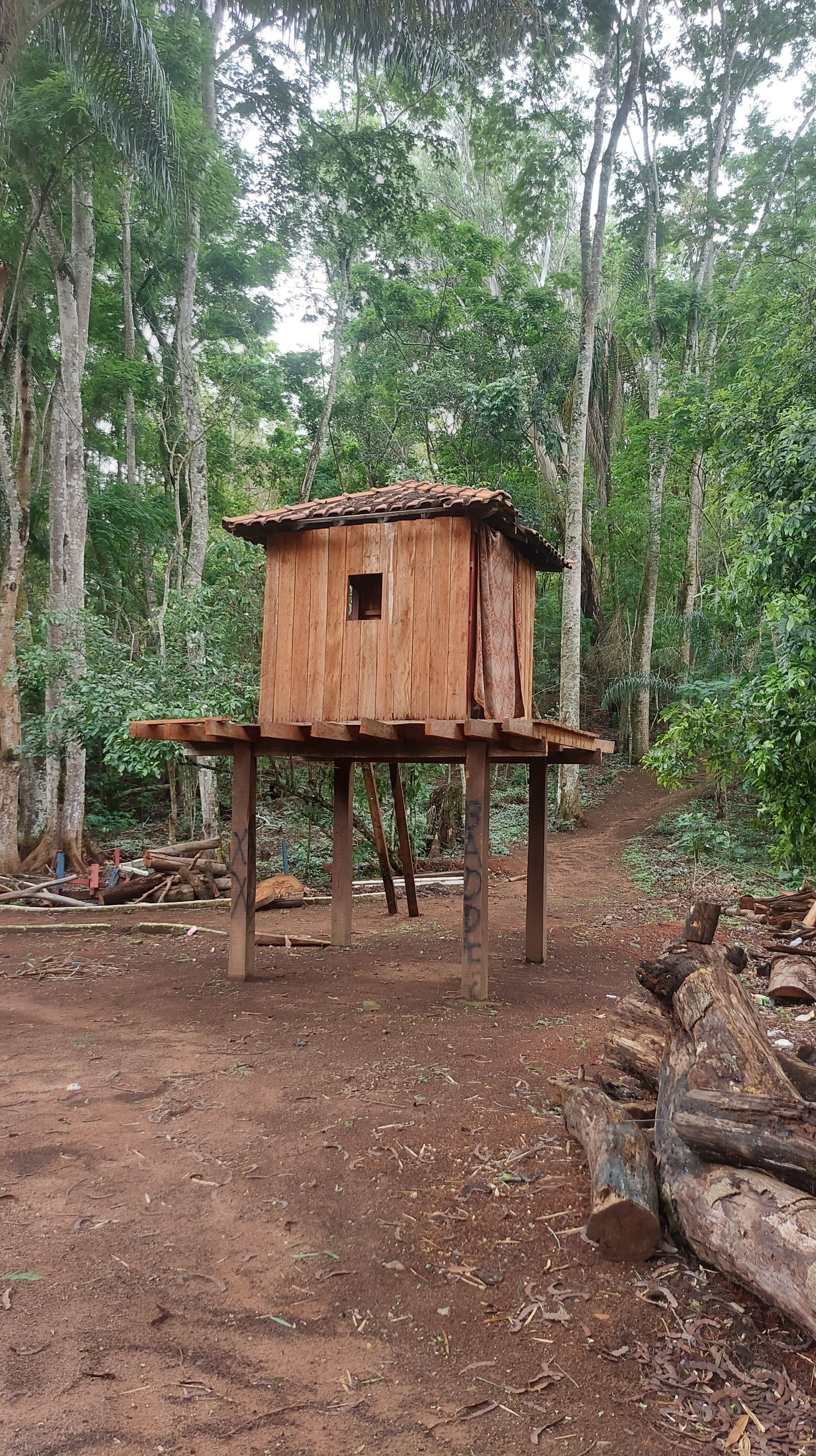Horto Florestal da Bomba