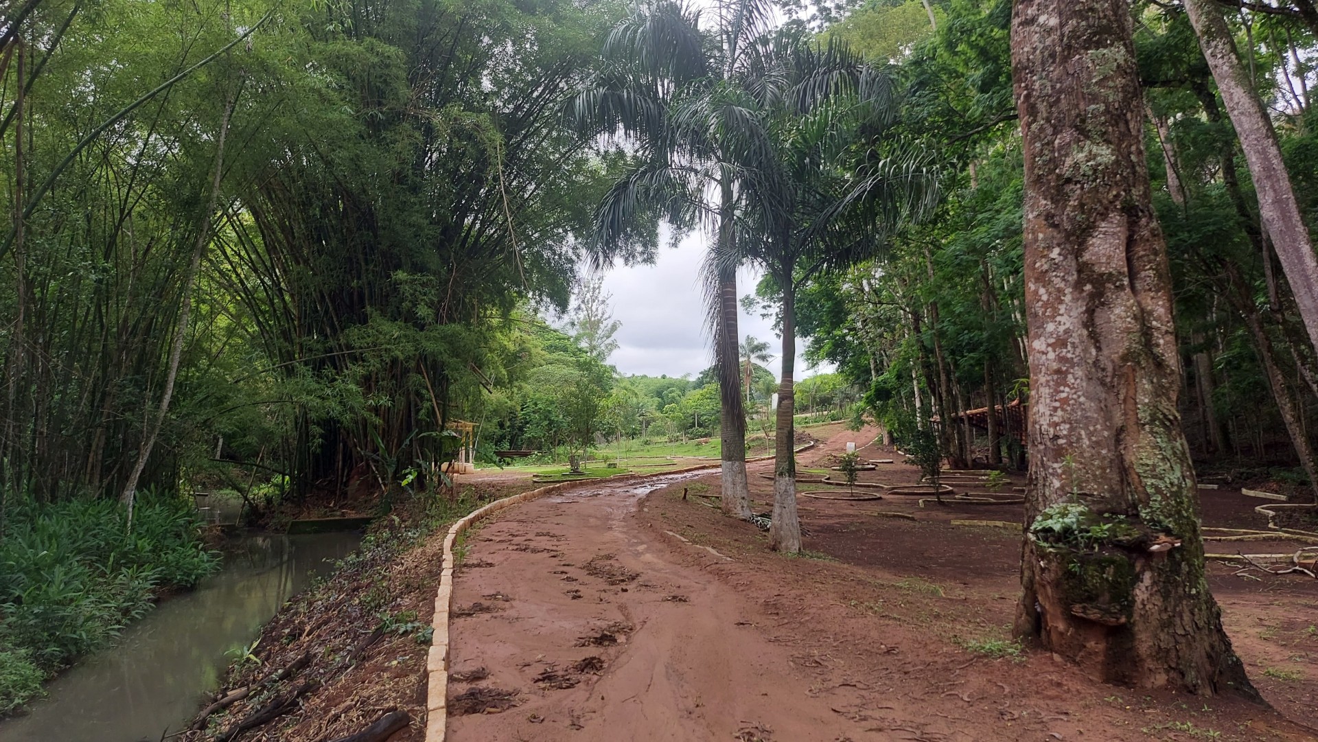 Horto Florestal da Bomba