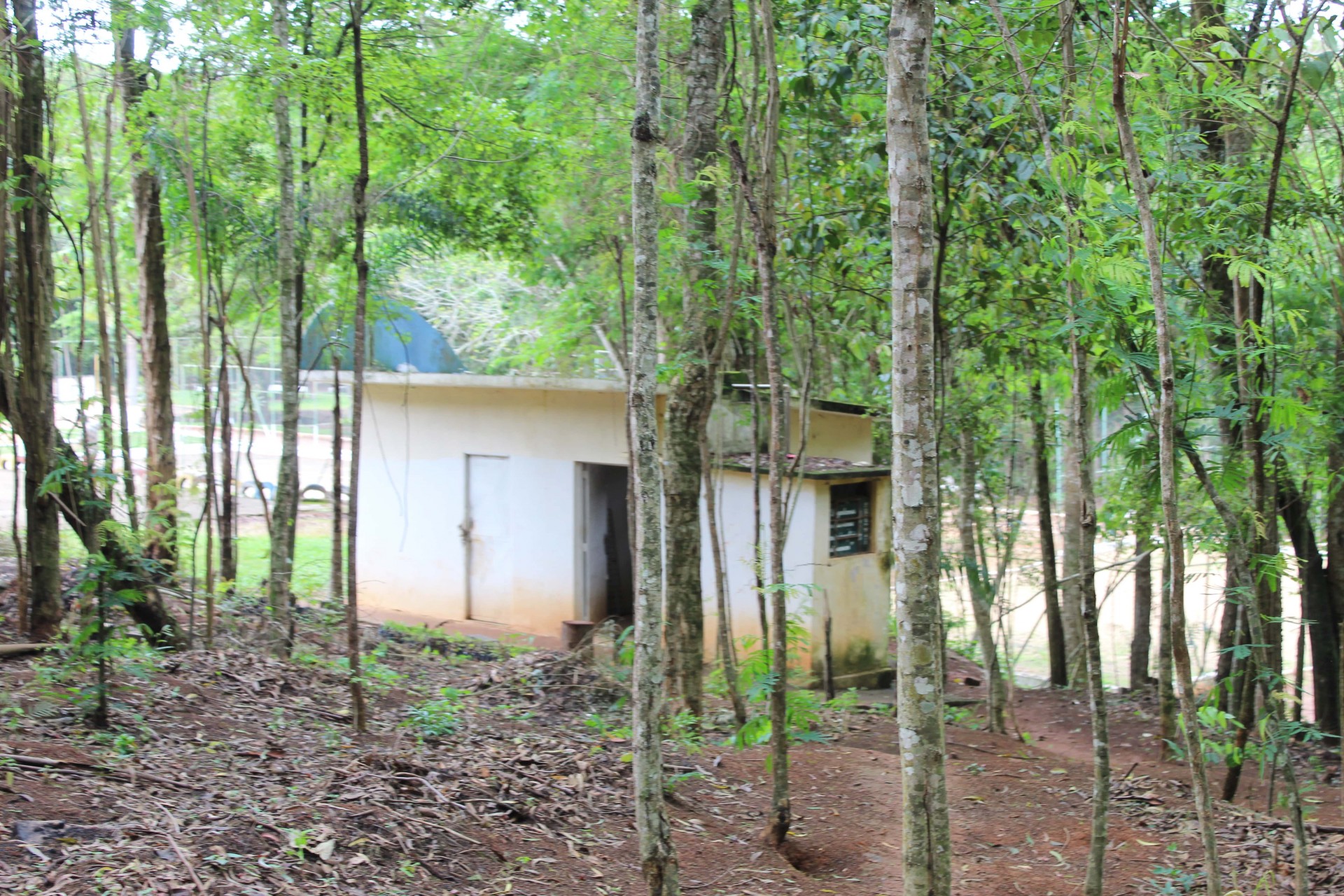 Horto Florestal da Bomba