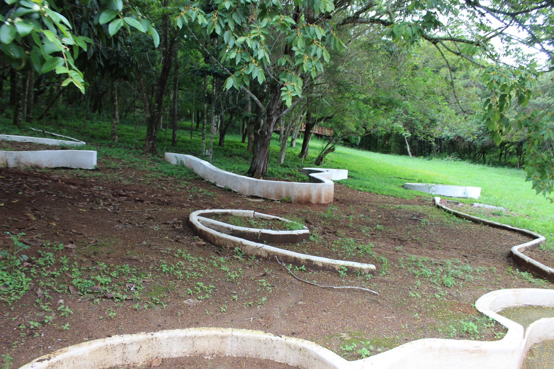 Horto Florestal da Bomba