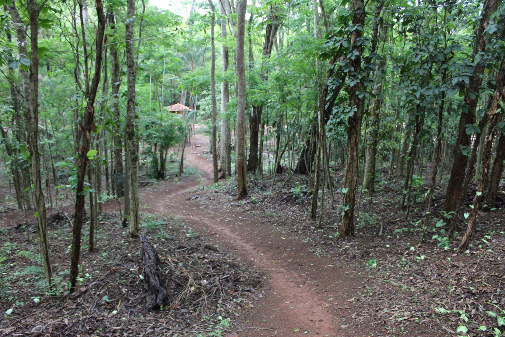 Horto Florestal da Bomba